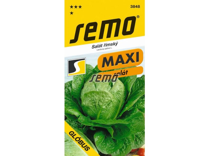 SALÁT GLÓBUS - římský 0.7 g