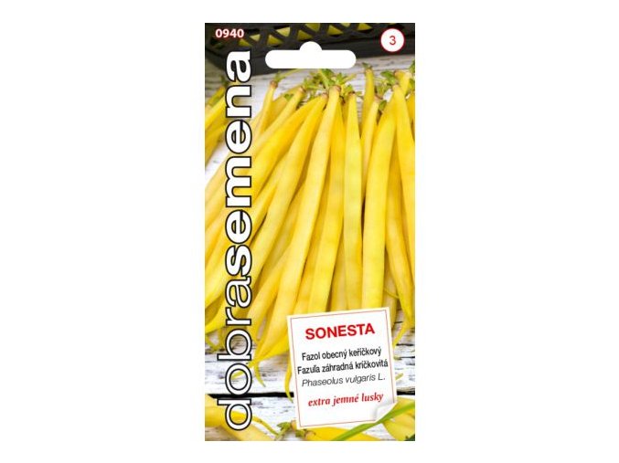 FAZOLE SONESTA - keříčkový 10 g