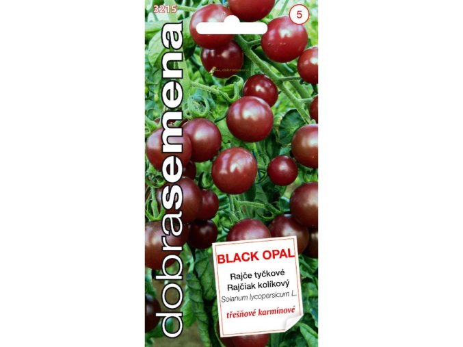 RAJČE TYČKOVÉ - BLACK OPAL 15 s