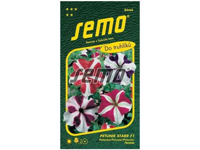 PETÚNIE STAR F1 - velkokvětá 30 p