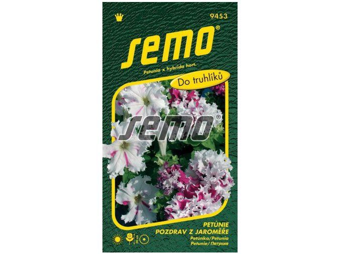 PETÚNIE POZDRAV Z JAROMĚŘE - velkokvětá 50 p