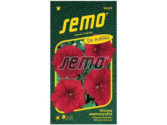 PETÚNIE LÁSKA F1 - velkokvětá 50 p