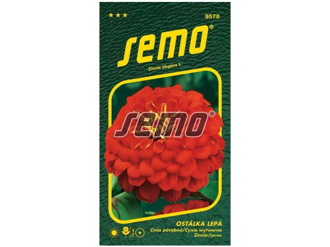 OSTÁLKA LEPÁ - CHERRY QUEEN 0.7 g
