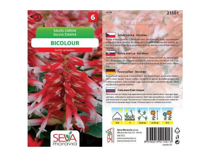 Šalvěj zářivá - BICOLOUR 0.1 g