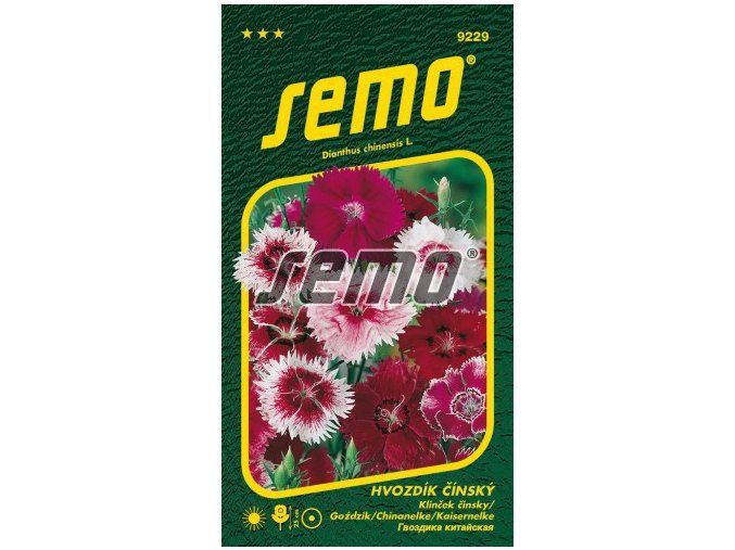 HVOZDÍK ČÍNSKÝ - směs 0.5 g