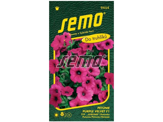 PETUNIE PURPLE VELVET F1 - převislá 10 p
