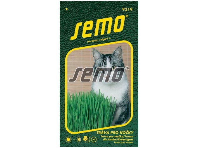 TRÁVA PRO KOČKY 10 g