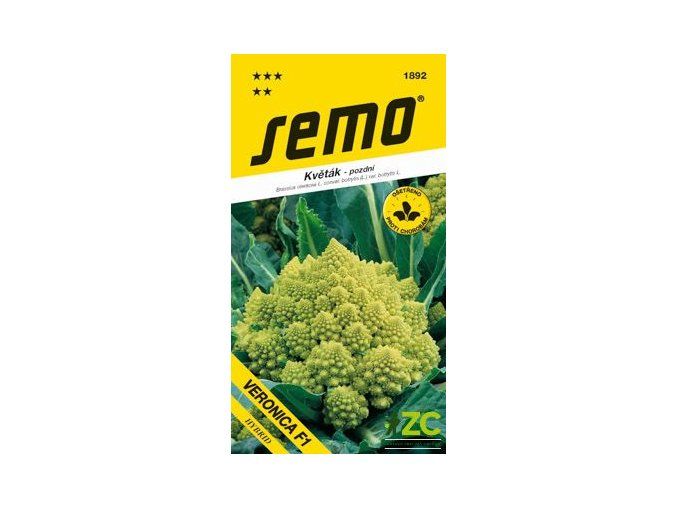 KVĚTÁK VERONICA F1 typ ROMANESCO 10 s