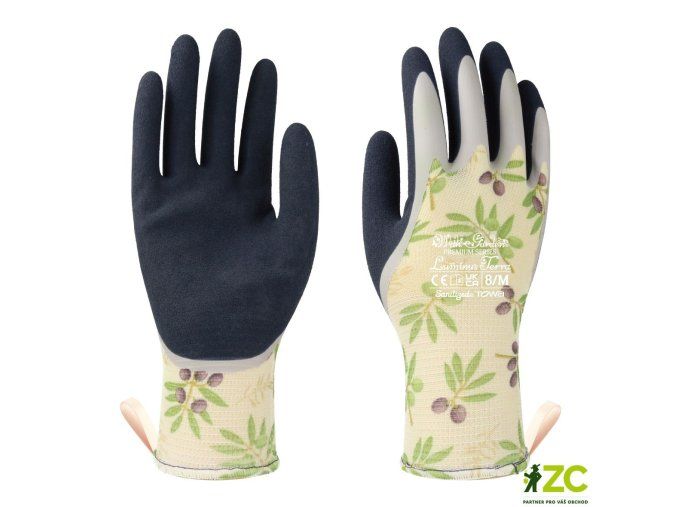 oliva 7s 2