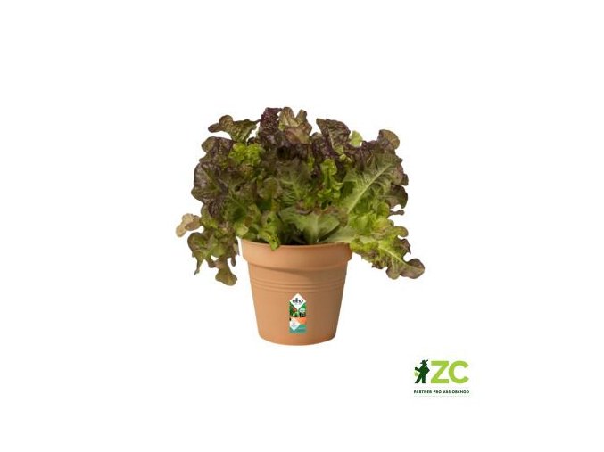 kvetinac green basics mild terra