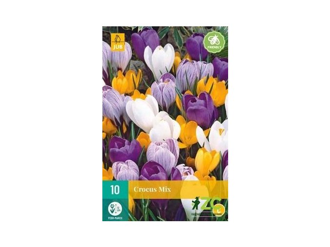Karta Krokus Large Flowering Mix (10 cibulí)