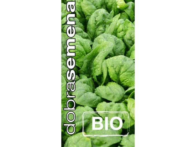 bio spenat winterreuzen 4 g