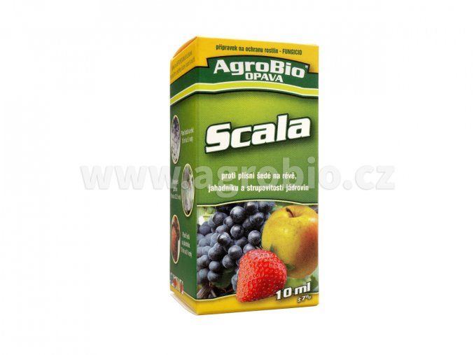467db1fd42e9cad2257d4aa9b6a82392 2035356 003266b11scala 10mljpg