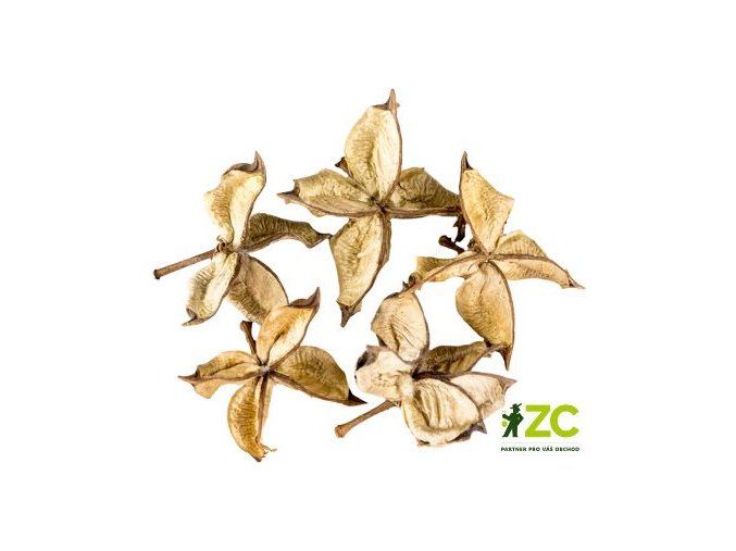 dekorace cotton flower 5 ks