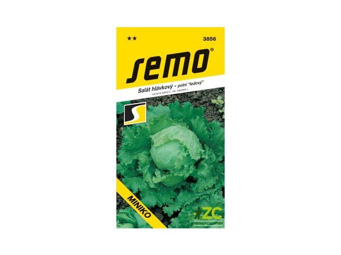 salat miniko polni ledovy 0 4 g