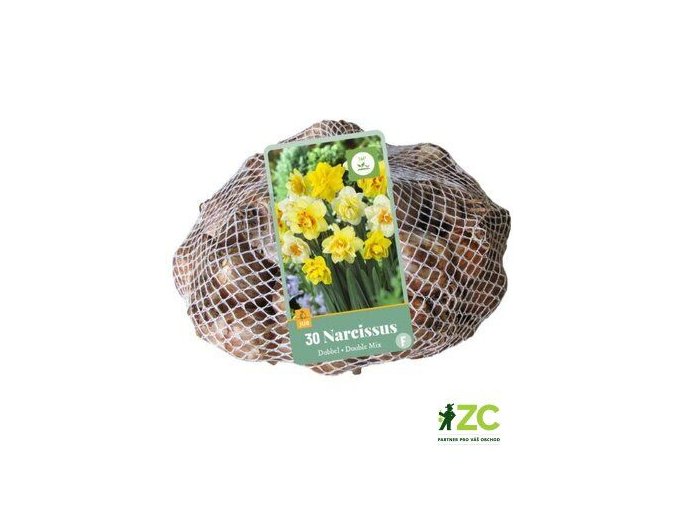 Síťka XXL Narcis Double Mix (30 cibulí)