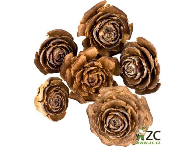 Dekorace - přízdoba - Cedar rose