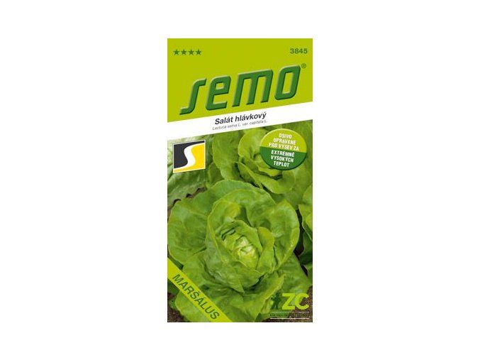 salat-marsalus-celorocni-0-5-g-tepelne-osetreno