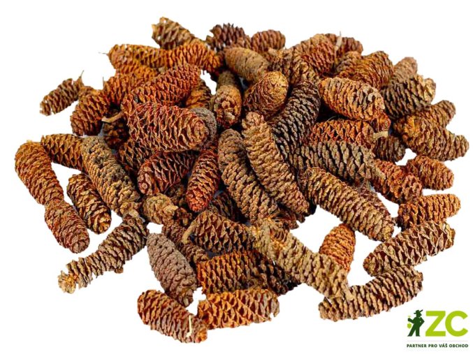 dekorace prizdoba birch pine sisky 250 g