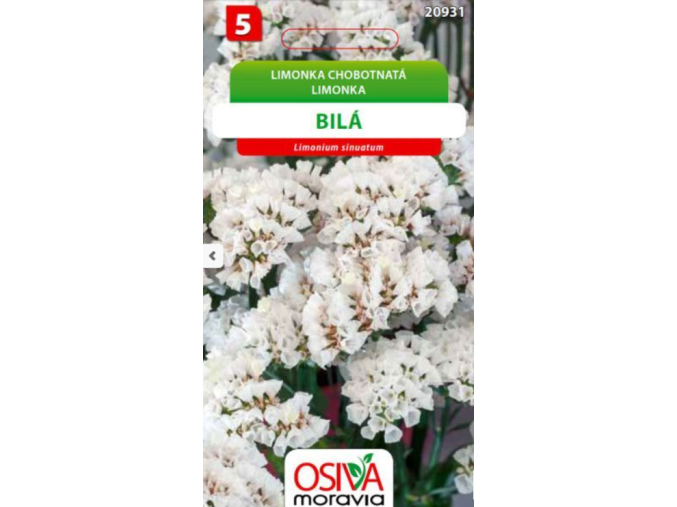 limonka-chobotnata-statice--bila-0-2-g