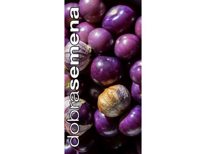 mochyne duznatoploda purple 40 s