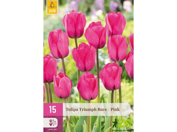 triumph pink