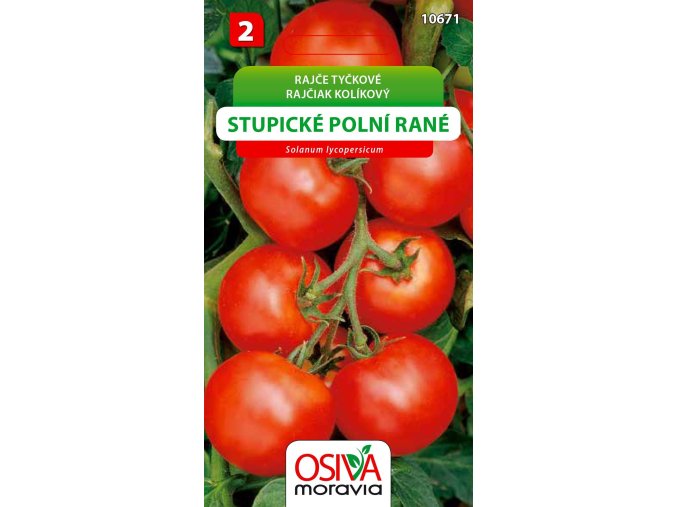 stupické