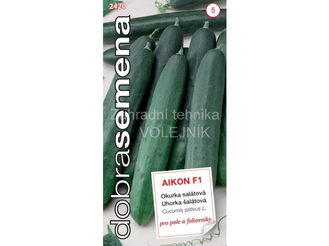 OKURKA AIKON F1 - salátová 1 g