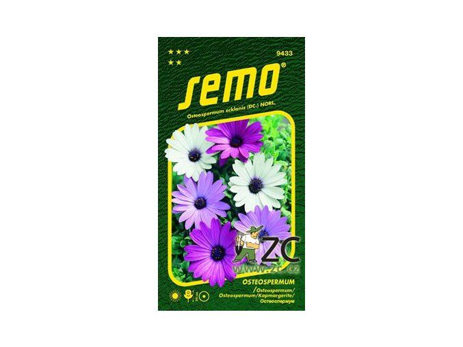 OSTEOSPERMUM BALADE - směs 0.30 g