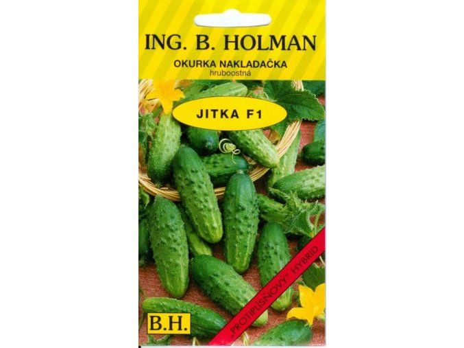 OKURKA JITKA F1 - nakladačka 2.5 g