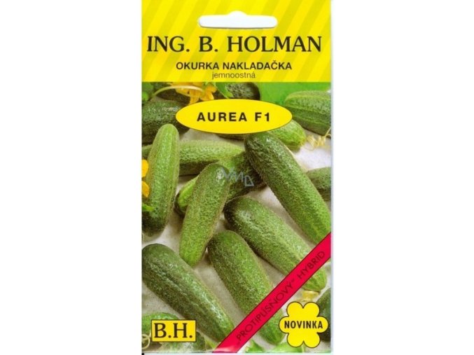 OKURKA AUREA F1 - nakladačka 2.5 g