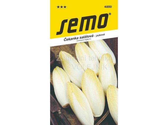 ČEKANKA MECHELSE MIDDEL VROEG - salátová 0.6 g