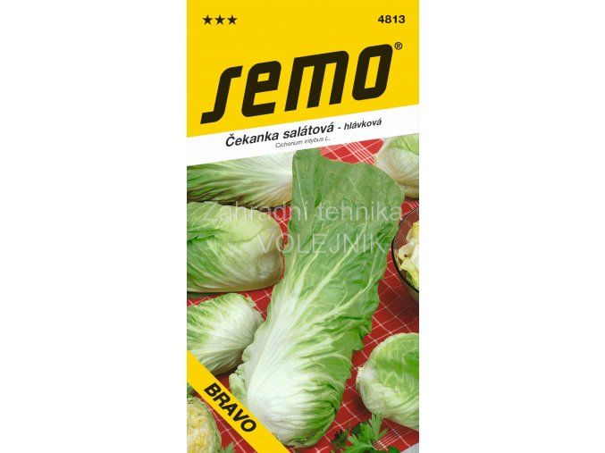 ČEKANKA BRAVO - salátová 0.3 g