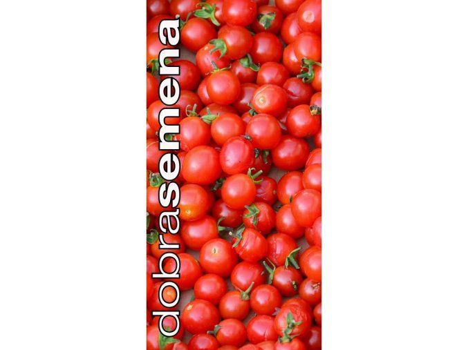 rajce-tyckove-wild-tomato-15-s--divoke-rajce-