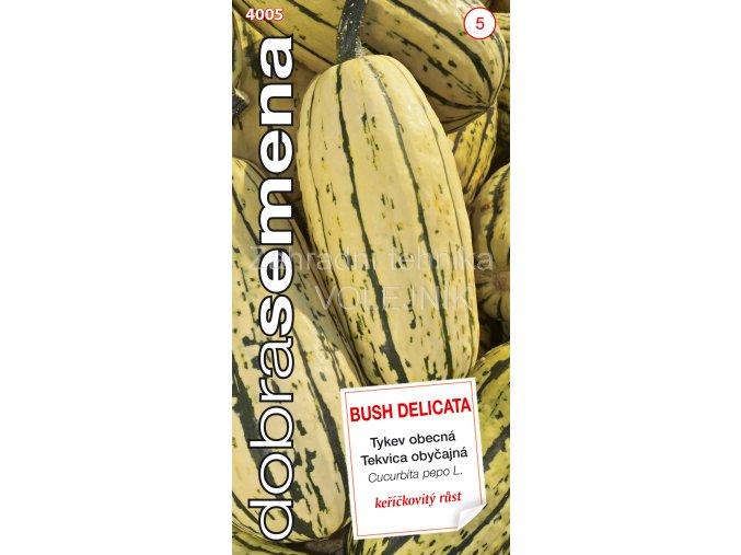 TYKEV VELKOPLODÁ - BUSH DELICATA 10 s