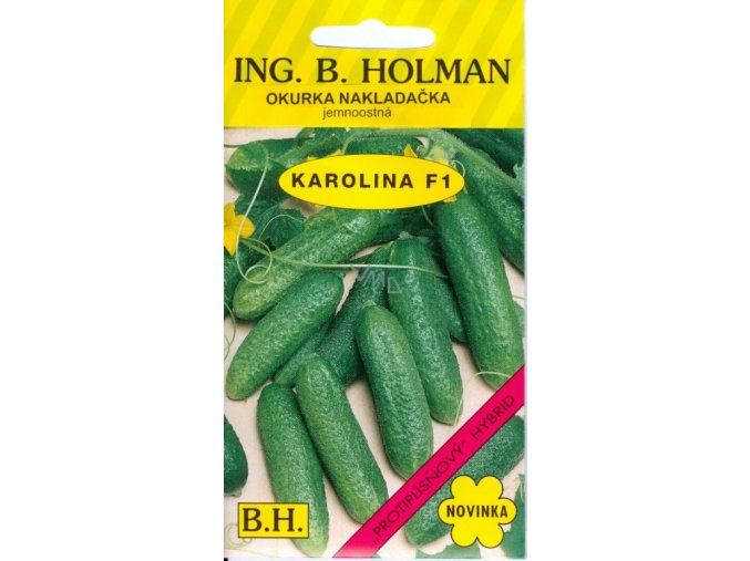 OKURKA KAROLINA F1 - nakladačka2.5 g