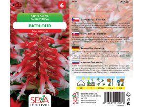 Šalvěj zářivá - BICOLOUR 0.1 g