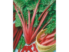 MANGOLD - RHUBARB CHARD 3 g