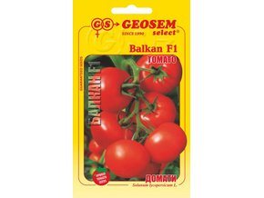 Rajče tyčkové Balkan F1