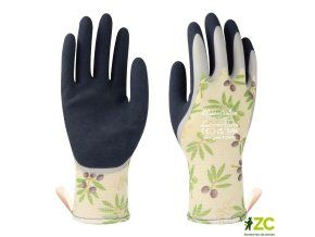 oliva 7s 2
