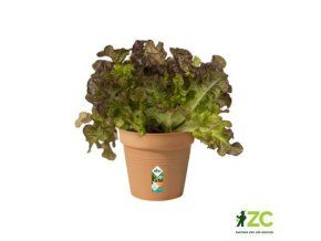 kvetinac green basics mild terra