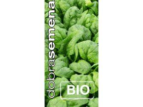 bio spenat winterreuzen 4 g