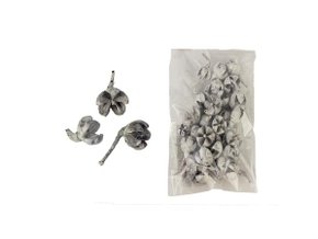 dekorace bakuli belene 30g