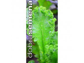southern giant mustard listova horcice 2 g