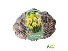 Síťka XXL Narcis Double Mix (30 cibulí)