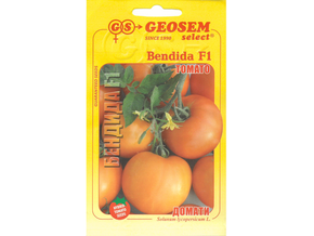 bendida