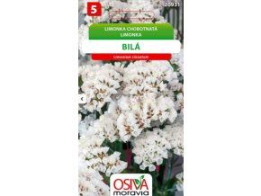 limonka-chobotnata-statice--bila-0-2-g