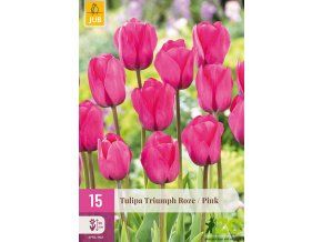 triumph pink