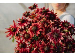 rudbekie cherry brandy 30s