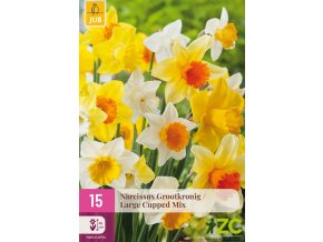 karta xxl narcis large cup mix 15 cibuli